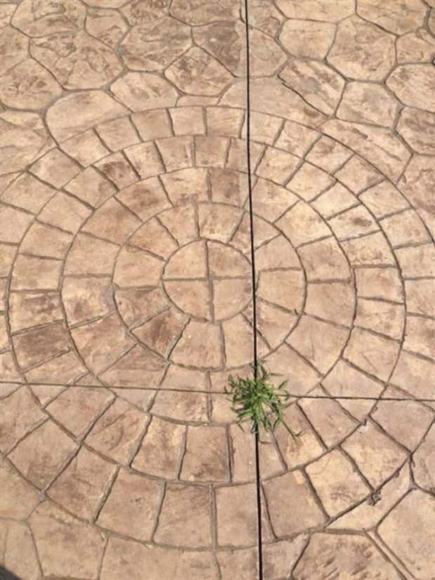Perfectionists Will Hate These Pics #18 (20 photos)
