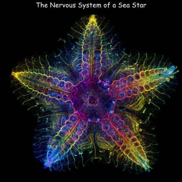 Interesting Pictures with Captions #173 (18 photos)