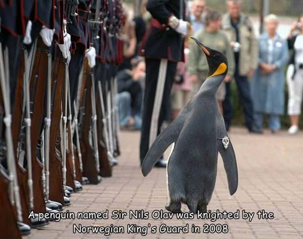 Interesting Pictures with Captions #171 (25 photos)