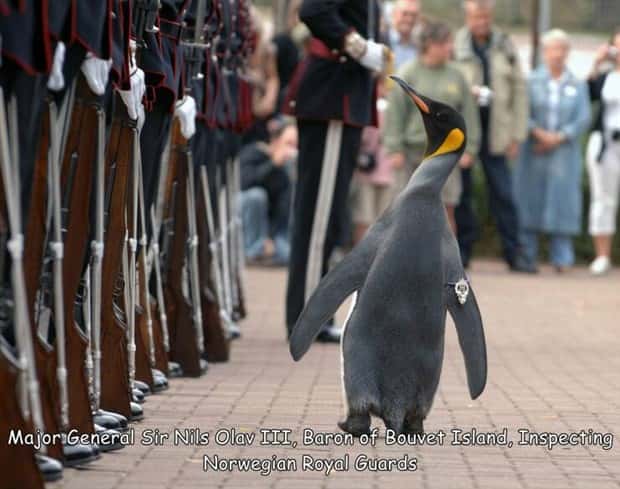 Interesting Pictures with Captions #173 (18 photos)