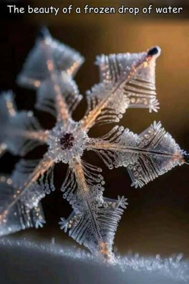 Interesting Pictures with Captions #171 (25 photos)