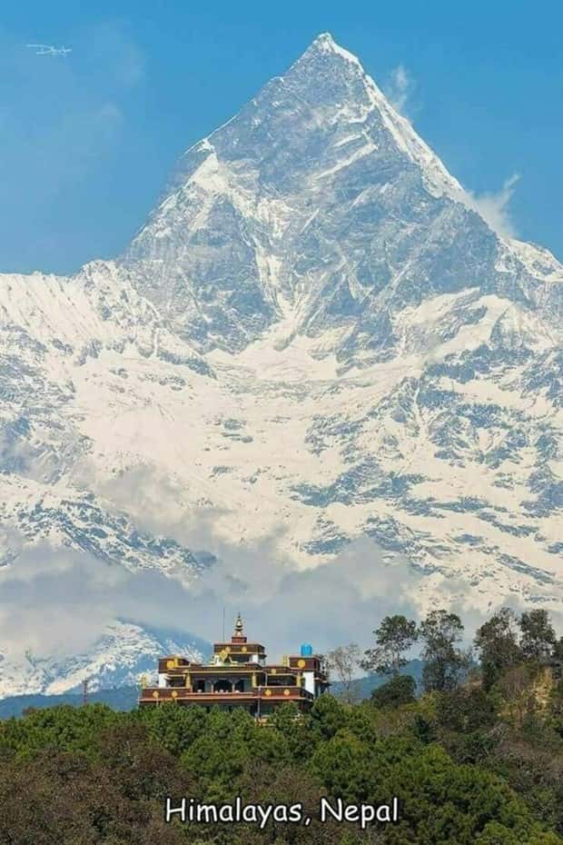 Interesting Pictures with Captions #171 (25 photos)