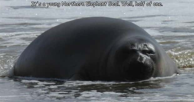 Interesting Pictures with Captions #171 (25 photos)