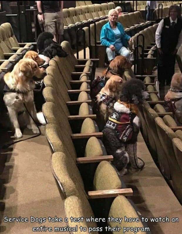 Interesting Pictures with Captions #174 (17 photos)