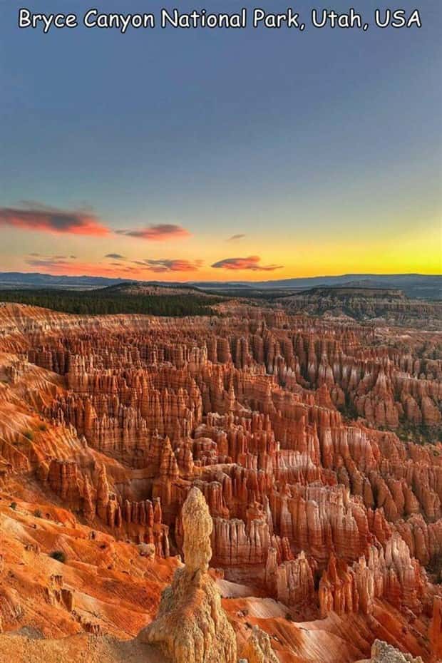 Interesting Pictures with Captions #174 (17 photos)