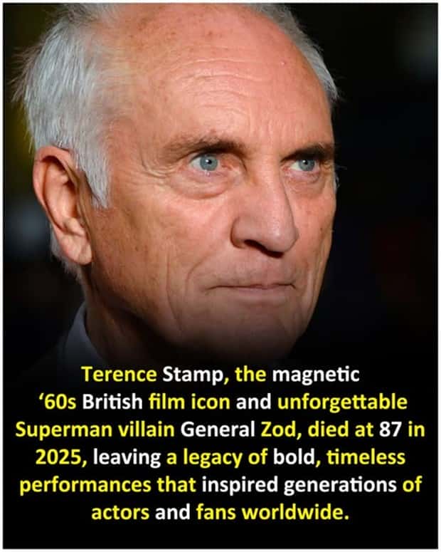 Cool and Interesting Facts #448 (20 photos)