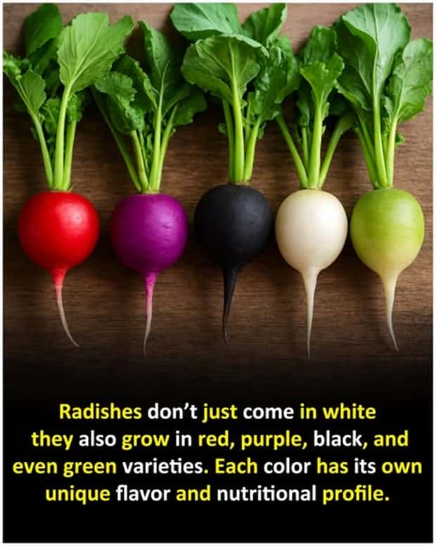 Cool and Interesting Facts #448 (20 photos)