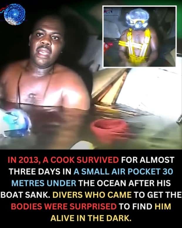 Cool and Interesting Facts #448 (20 photos)