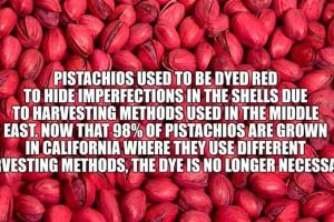 Cool and Interesting Facts #448 (20 photos)