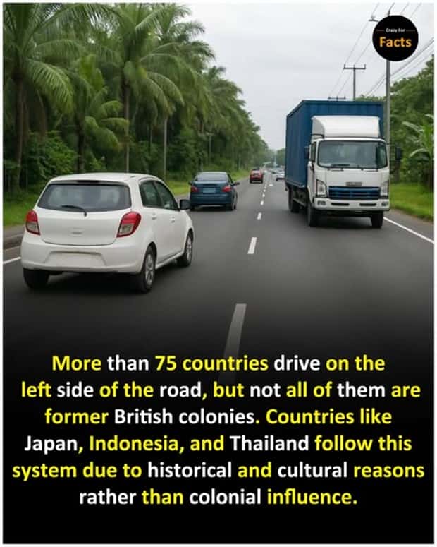 Cool and Interesting Facts #448 (20 photos)