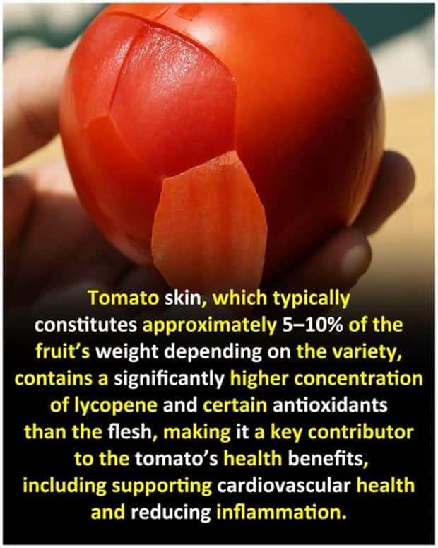 Cool and Interesting Facts #448 (20 photos)