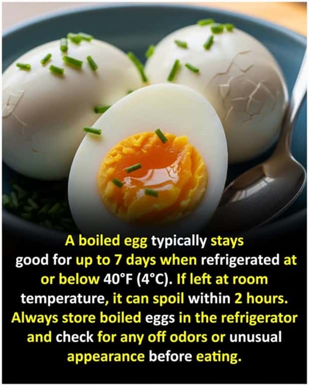 random fun facts 12 Cool and Interesting Facts #445 (26 photos)