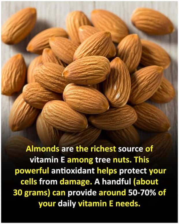 random fun facts 15 Cool and Interesting Facts #445 (26 photos)