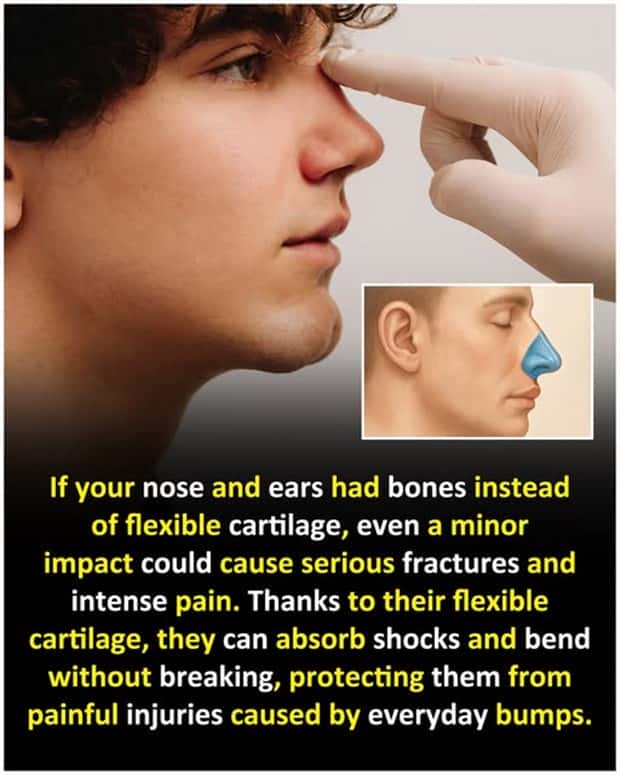 random fun facts 18 Cool and Interesting Facts #445 (26 photos)