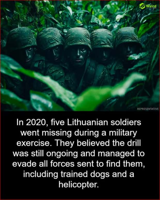 random fun facts 19 Cool and Interesting Facts #445 (26 photos)