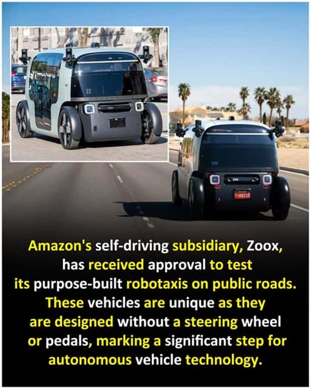 random fun facts 20 Cool and Interesting Facts #445 (26 photos)