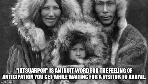 random fun facts 25 Cool and Interesting Facts #445 (26 photos)