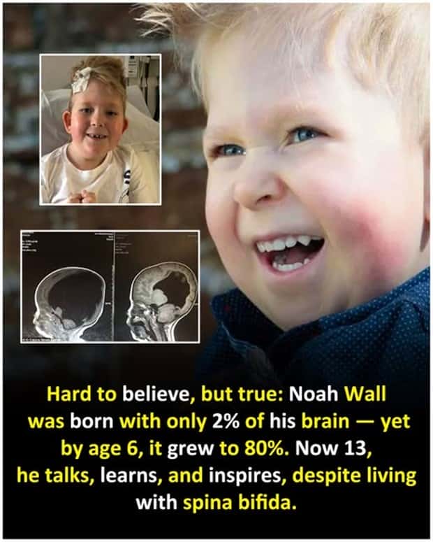 random fun facts 3 Cool and Interesting Facts #445 (26 photos)