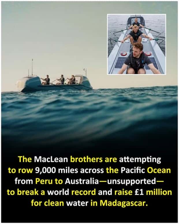 random fun facts 8 Cool and Interesting Facts #445 (26 photos)