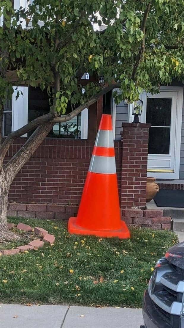 Well, That’s Really Big #17 (21 photos)