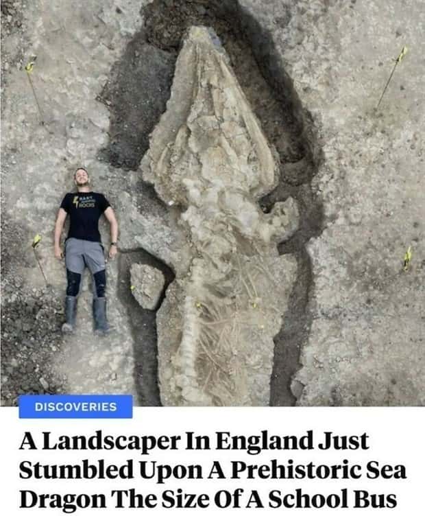 Well, That’s Really Big #17 (21 photos)