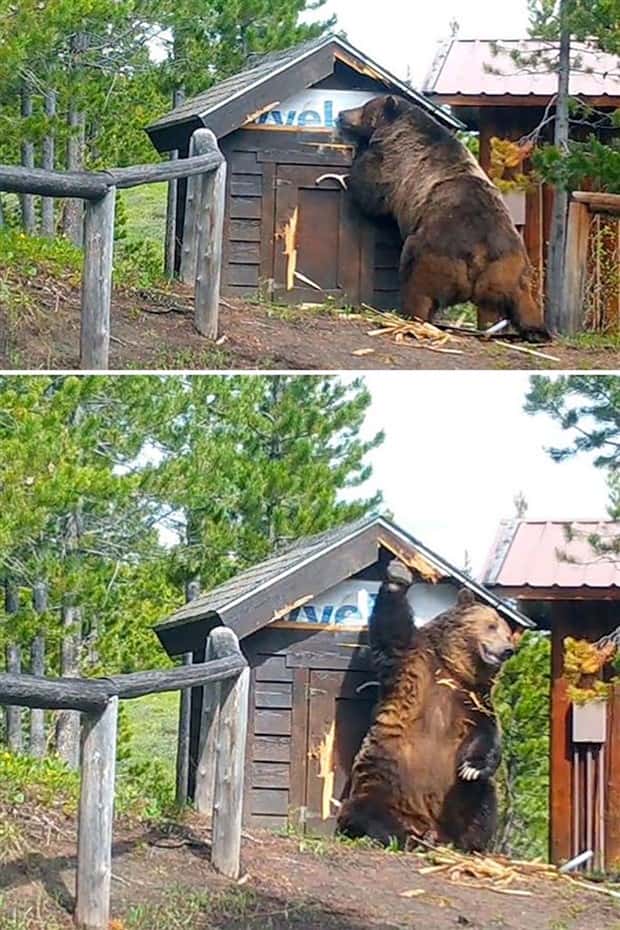 Well, That’s Really Big #17 (21 photos)