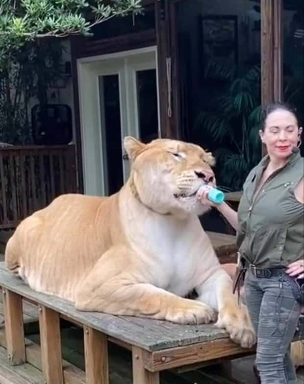 Well, That’s Really Big #17 (21 photos)