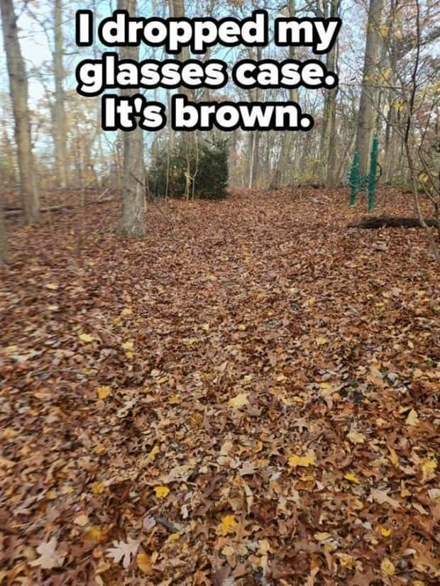Shit Happens Regularly, Get Used To It #347 (26 photos)