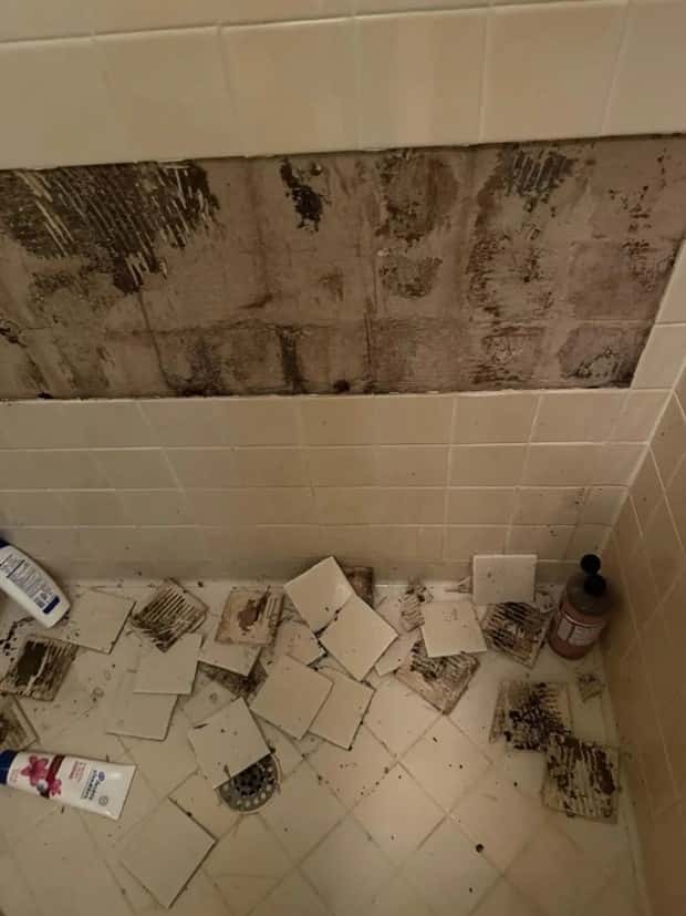 Shit Happens Regularly, Get Used To It #347 (26 photos)