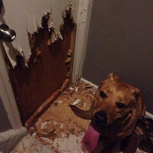 Shit Happens Regularly, Get Used To It #344 (21 photos)