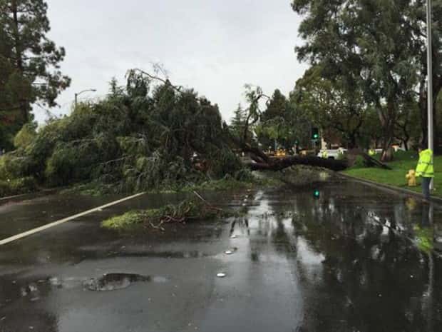 Shit Happens Regularly, Get Used To It #344 (21 photos)