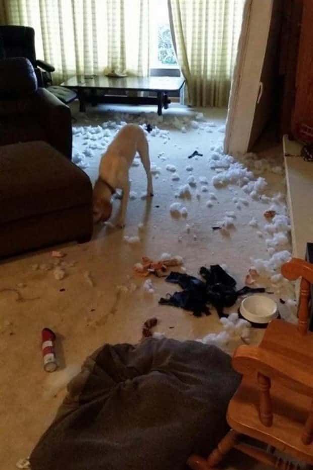 Shit Happens Regularly, Get Used To It #344 (21 photos)