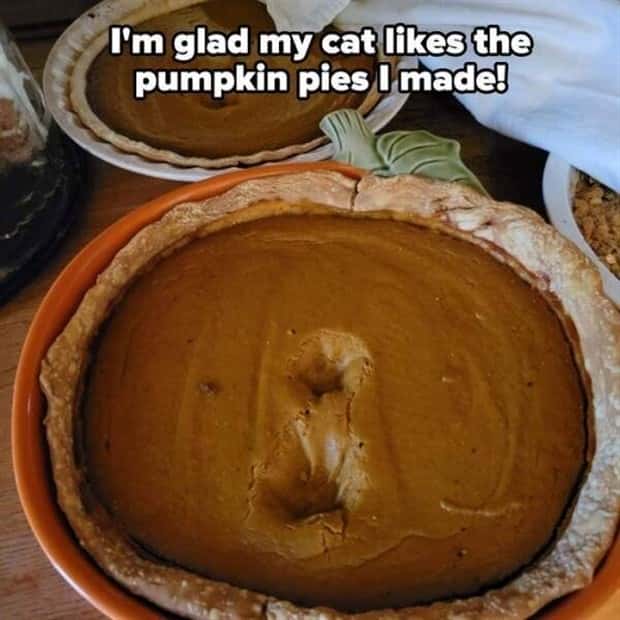 Shit Happens Regularly, Get Used To It #347 (26 photos)