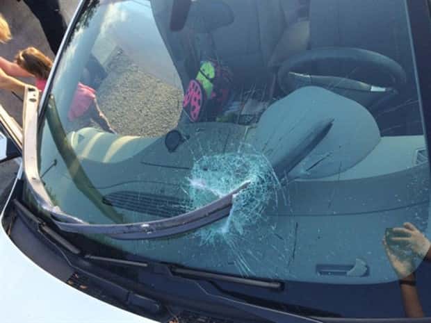 Shit Happens Regularly, Get Used To It #344 (21 photos)