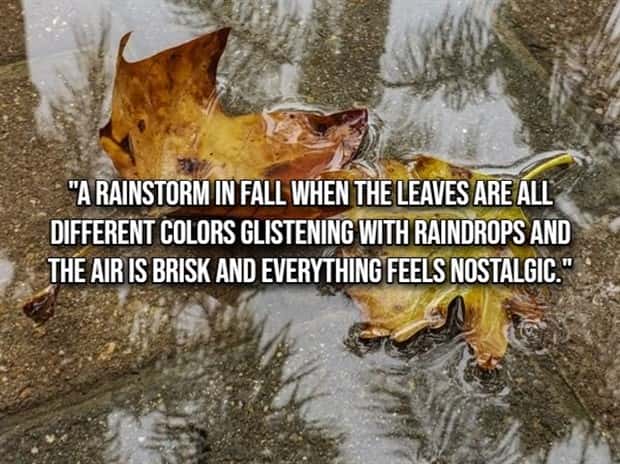 simple joys 13 Small Pleasures That Lift Your Day (20 photos)