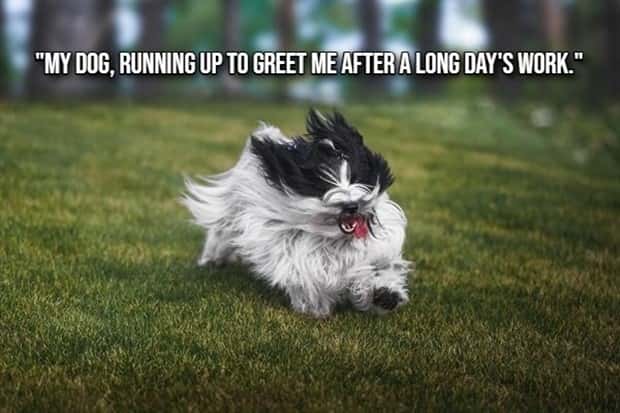 simple joys 14 Small Pleasures That Lift Your Day (20 photos)