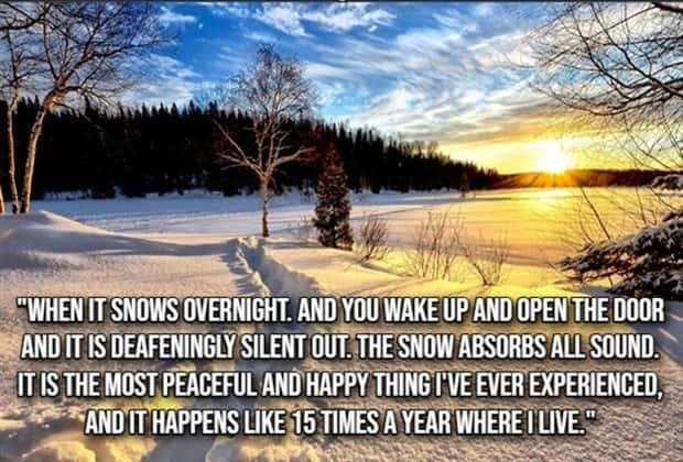 simple joys 18 Small Pleasures That Lift Your Day (20 photos)