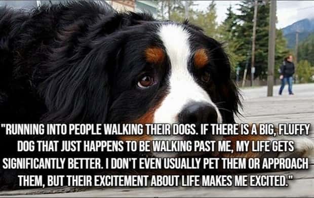 simple joys 19 Small Pleasures That Lift Your Day (20 photos)