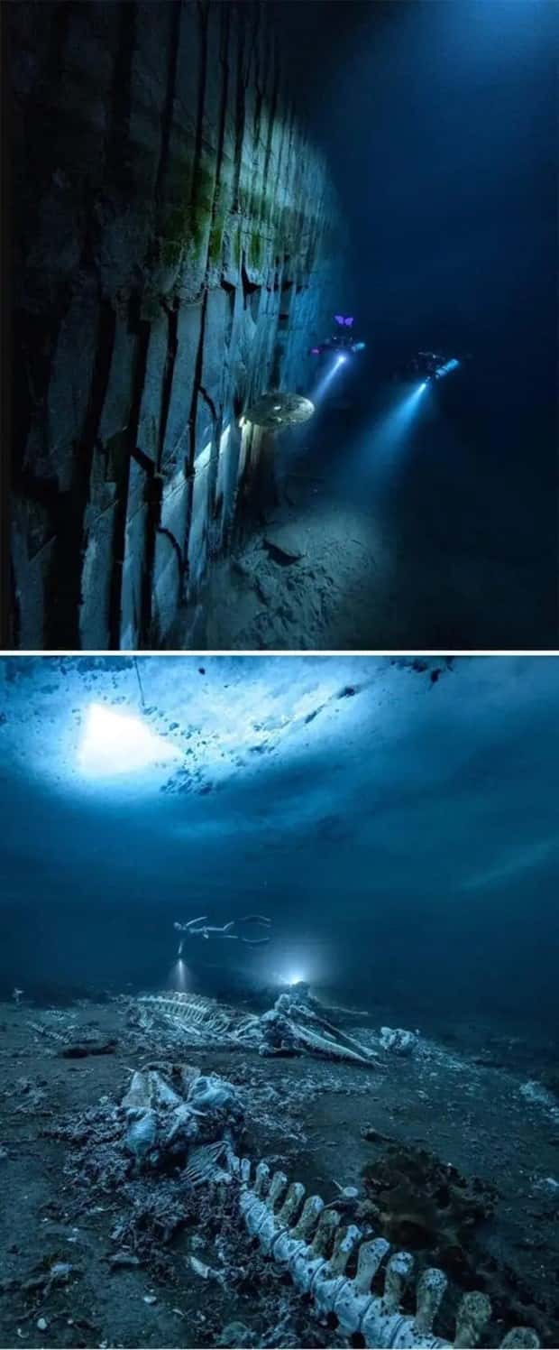 23 Deep Water Shots Causing Thalassophobia (23 photos)