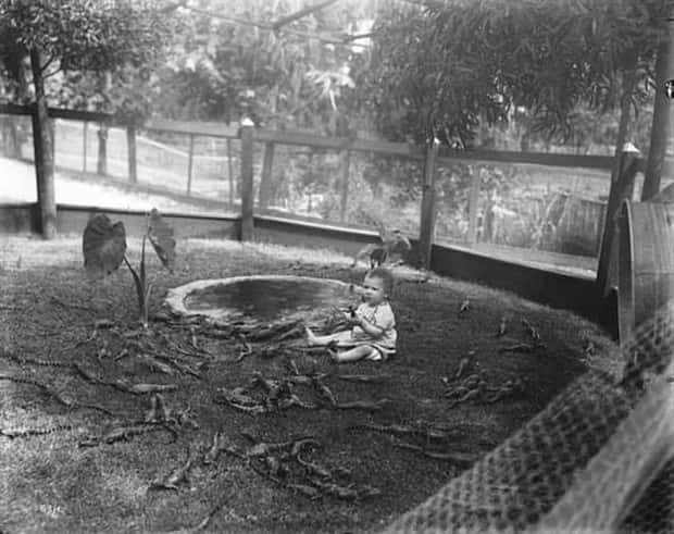 uhm nope 13 Nope, Thanks! #29 (22 photos)