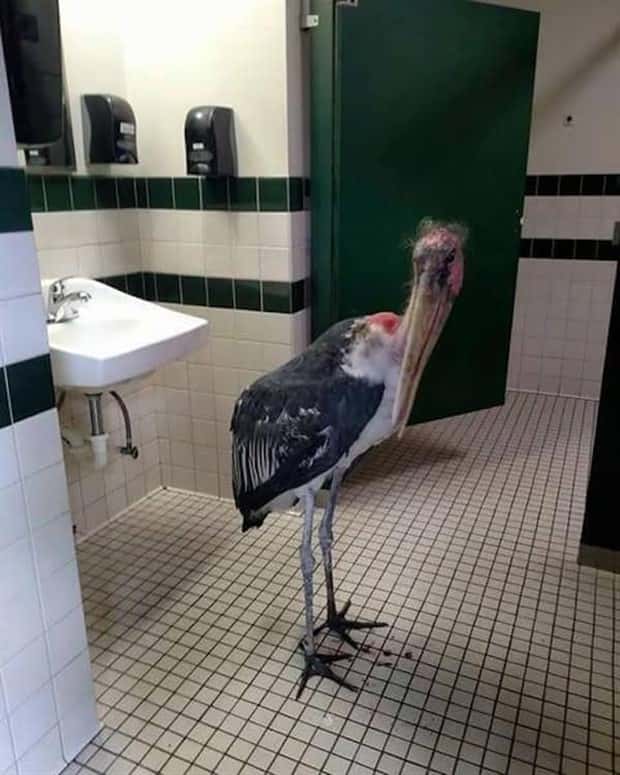 uhm nope 17 Nope, Thanks! #29 (22 photos)