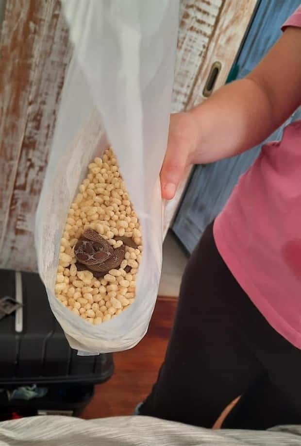 uhm nope 6 Nope, Thanks! #29 (22 photos)