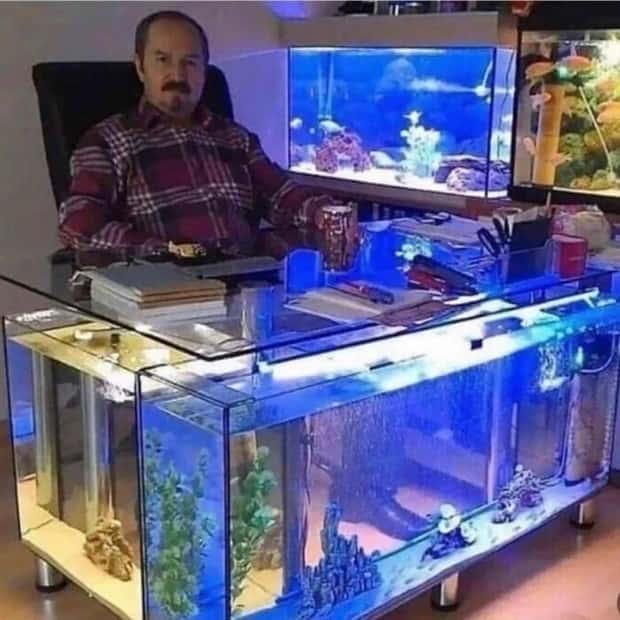 Designs that Suck Big Time #32 (19 photos)