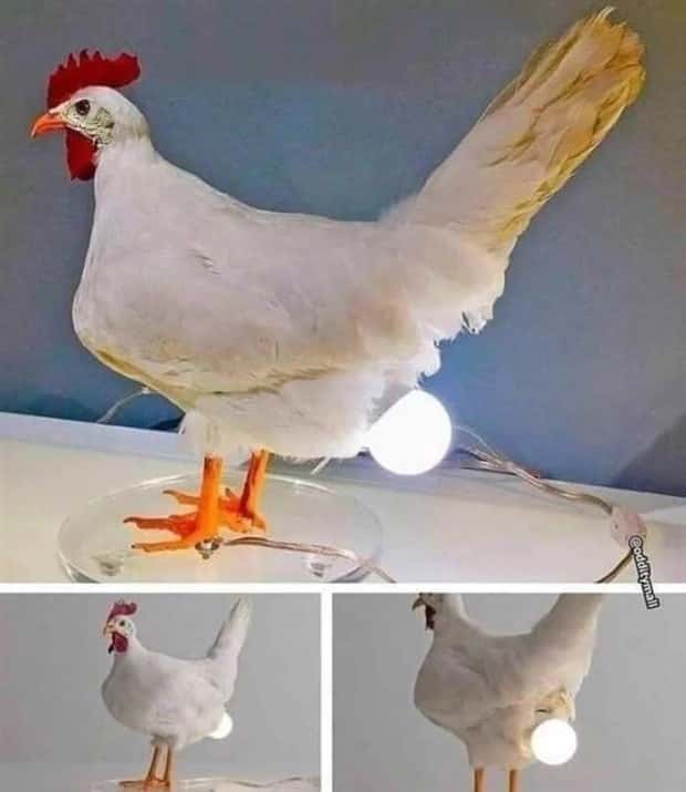Designs that Suck Big Time #32 (19 photos)