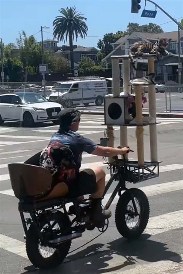 Welcome to the Weird Side of the Internet #200 (36 photos)
