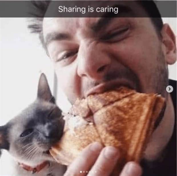 amusing animal snapchats 3 Funny Animal Snapchats Too Perfect to Miss (23 photos)