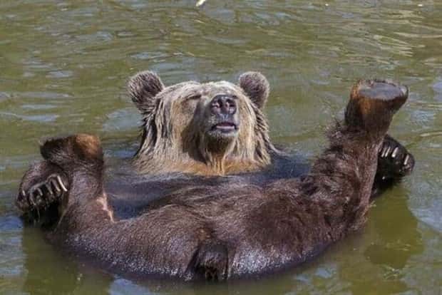 Get Ready for Funny Animals #405 (24 photos)