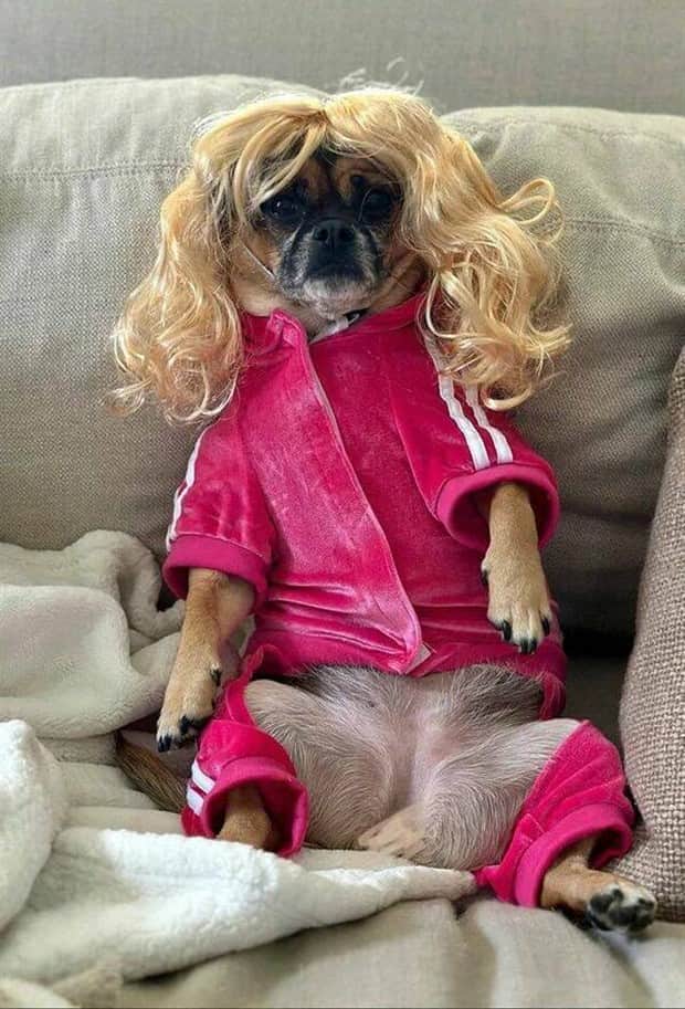 amusing animals 18 3 Get Ready for Funny Animals #408 (22 photos)