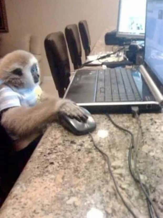 Get Ready for Funny Animals #406 (23 photos)