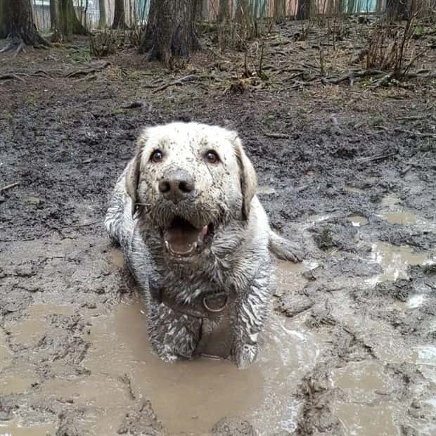 Get Ready for Funny Animals #406 (23 photos)